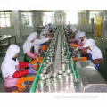 tuna fish processing line with food grade parts